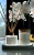 IMG_3435.png