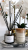 Minimalistyczny zestaw Solivya z czarnym szkłem, srebrnym wykończeniem i świecą sojową inspirowany estetyką luxury home decor.