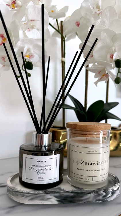 Minimalistyczny zestaw Solivya z czarnym szkłem, srebrnym wykończeniem i świecą sojową inspirowany estetyką luxury home decor.